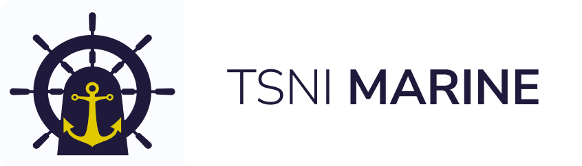 logo TSNI